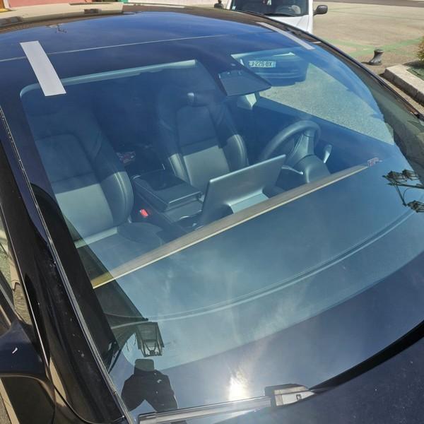 Tesla pb pose